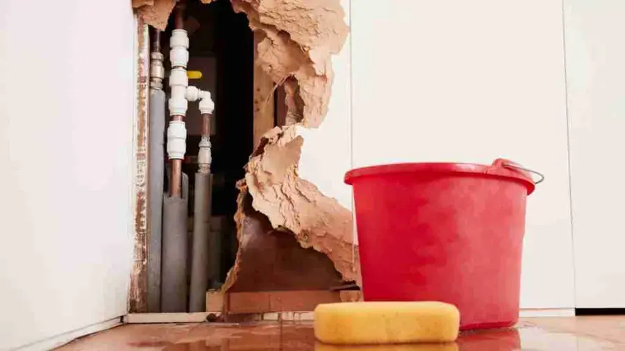 Wall opened around a burst supply pipe with a bucket catching water in Lodi