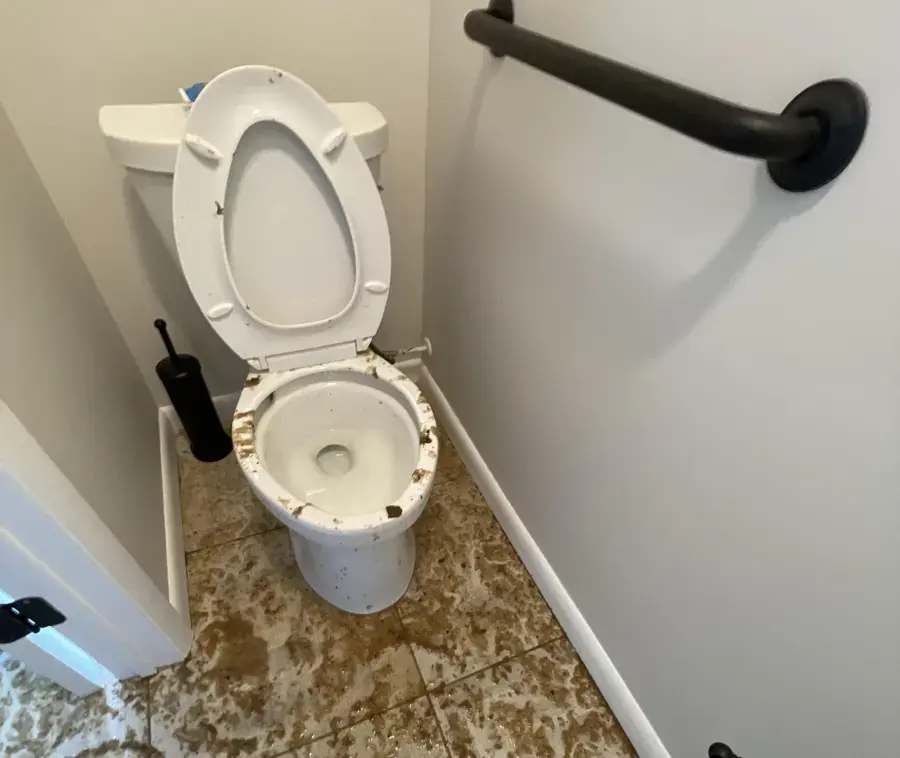 Sewage backup on a bathroom floor around the toilet in a Lodi home