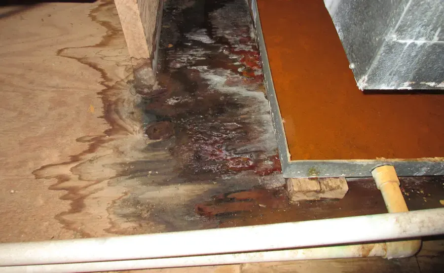 Water spreading across the floor from the base of a leaking water heater